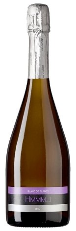 Вино игристое "ХМММ...! Блан де Блан Брют Гайак АОП" брют белое 0,75 л
